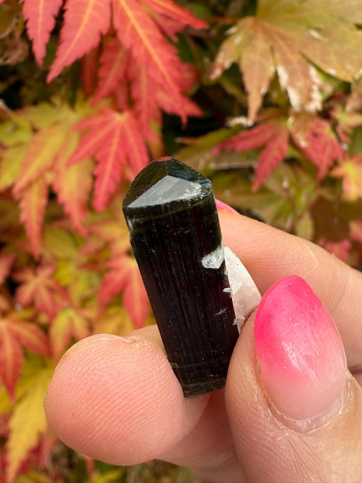 Terminated Cap Tourmaline Specimen