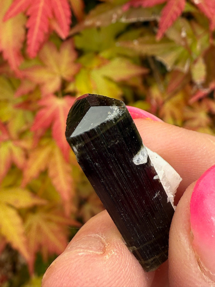 Terminated Cap Tourmaline Specimen
