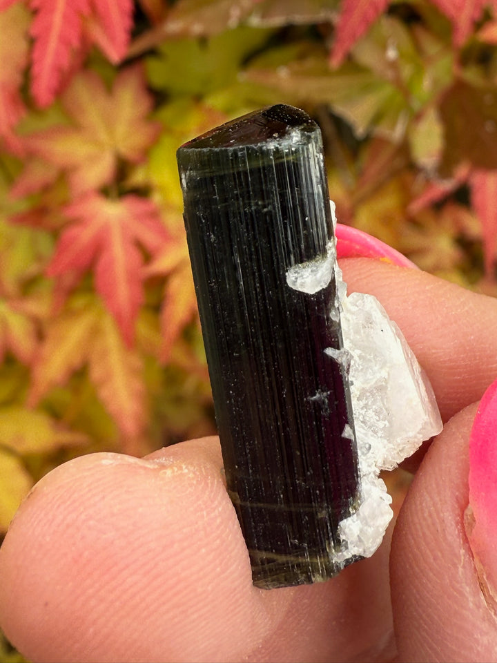 Terminated Cap Tourmaline Specimen