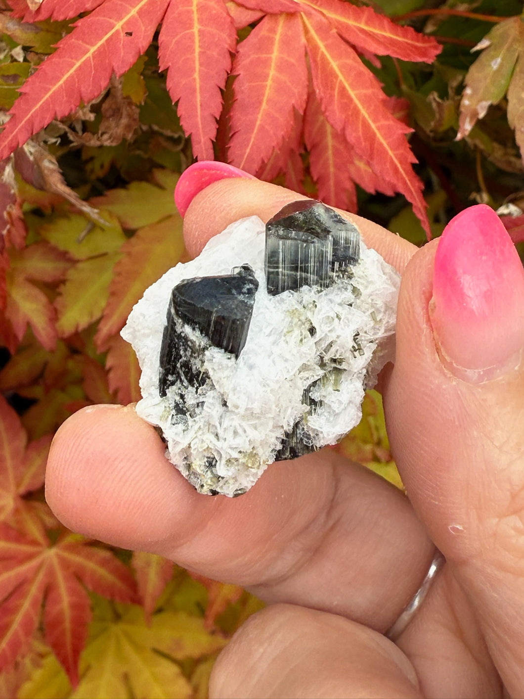 Twin Terminated Cap Tourmaline Specimen