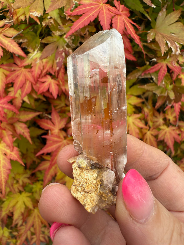 Gypsum Specimen from Guizhou