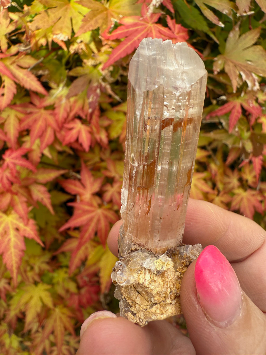 Gypsum Specimen from Guizhou