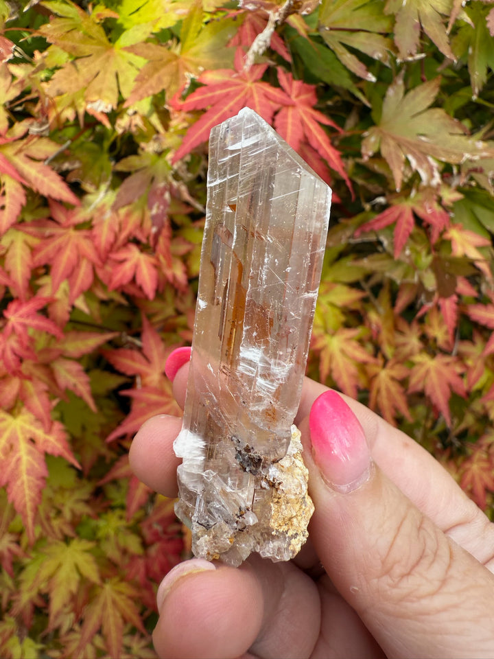 Gypsum Specimen from Guizhou