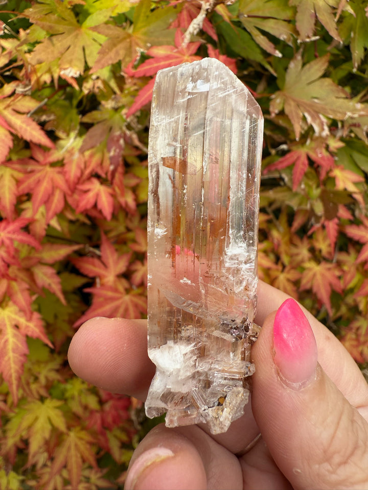 Gypsum Specimen from Guizhou