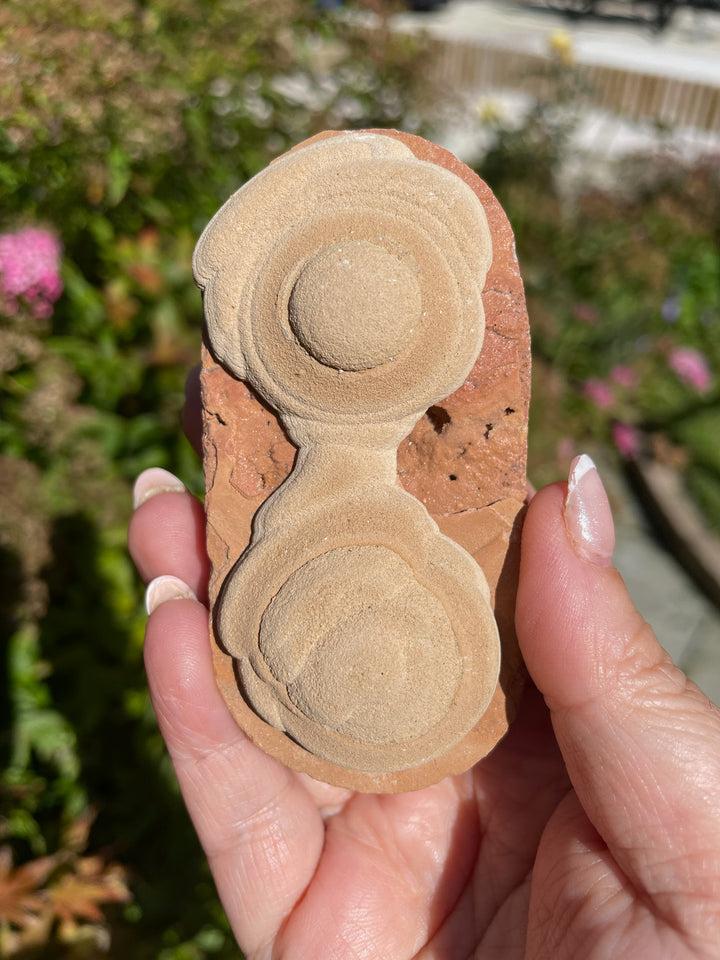 Unusual Calcite and Sandstone Specimen from Wenshan