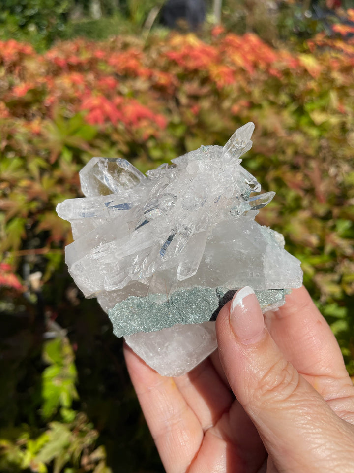 Faden Quartz Specimen from Columbia