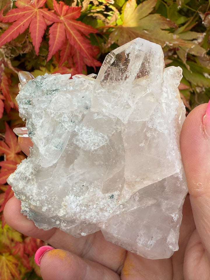 Faden Quartz Specimen from Columbia