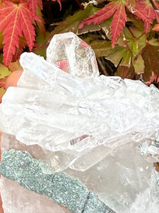 Faden Quartz Specimen from Columbia
