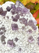 Load image into Gallery viewer, Blue and Purple Fluorite with Zoning Specimen
