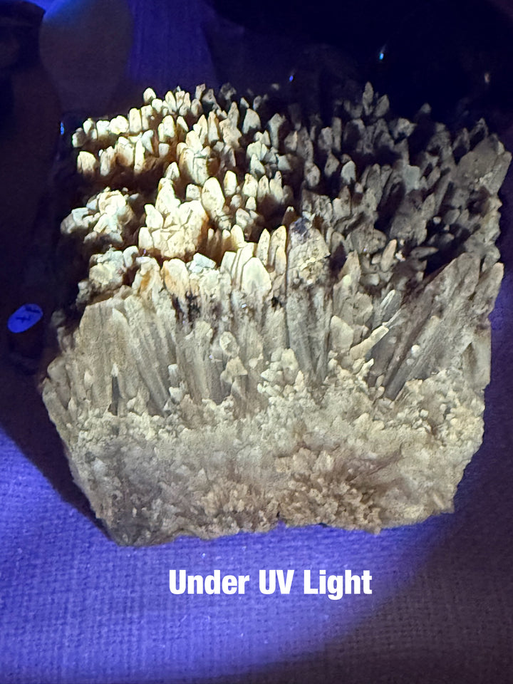 Honey Calcite Specimen UV Reactive