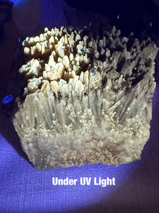 Honey Calcite Specimen UV Reactive