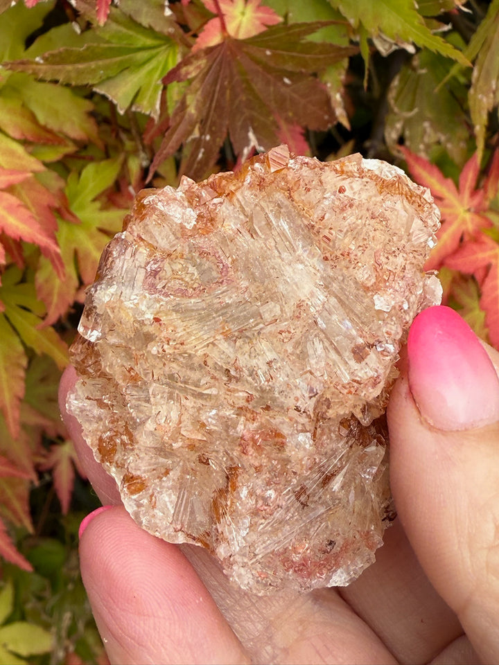 Selenite on Fluorite Specimen UV Reactive