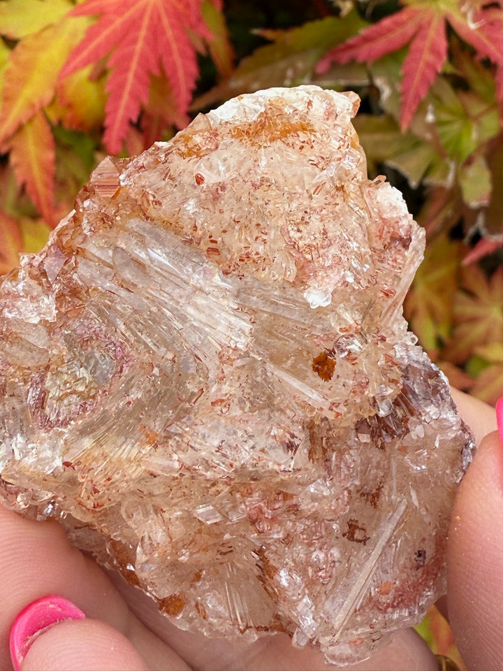 Selenite on Fluorite Specimen UV Reactive