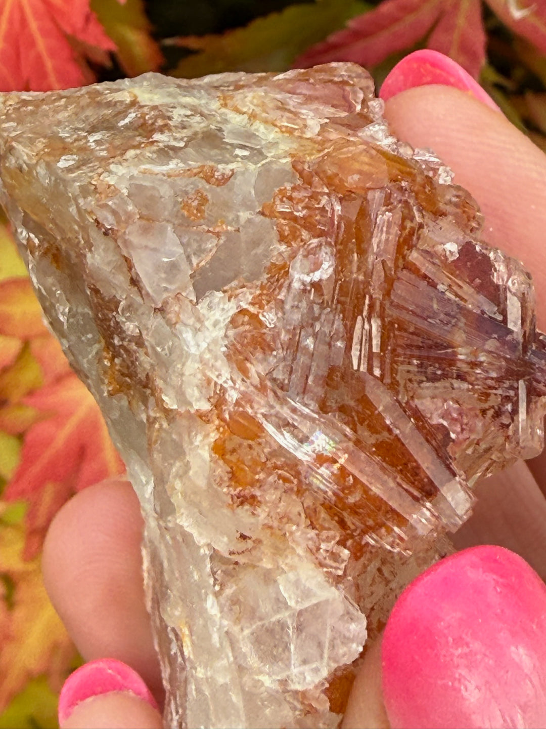 Selenite on Fluorite Specimen UV Reactive