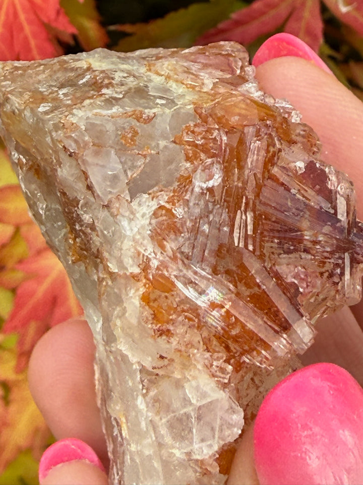 Selenite on Fluorite Specimen UV Reactive