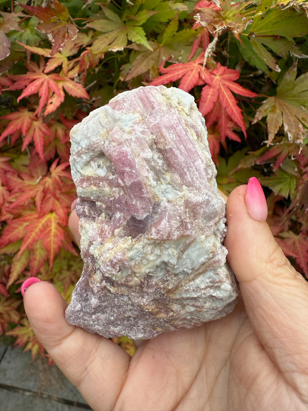 Pink Tourmaline in Matrix Specimen