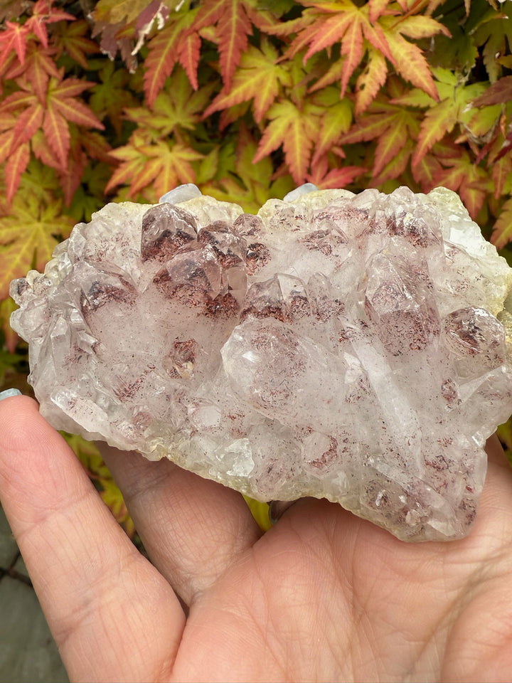 Rare Quartz with Hematite Phantoms Cluster Sunset Phantom