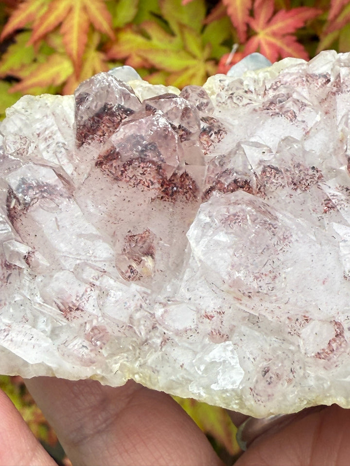 Rare Quartz with Hematite Phantoms Cluster Sunset Phantom