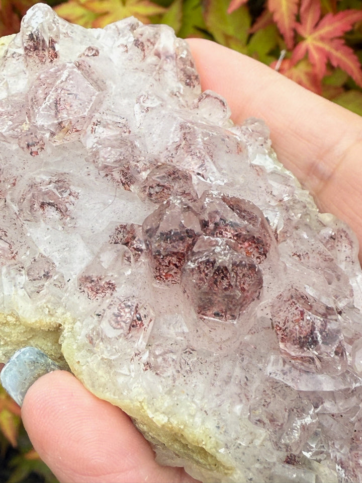 Rare Quartz with Hematite Phantoms Cluster Sunset Phantom