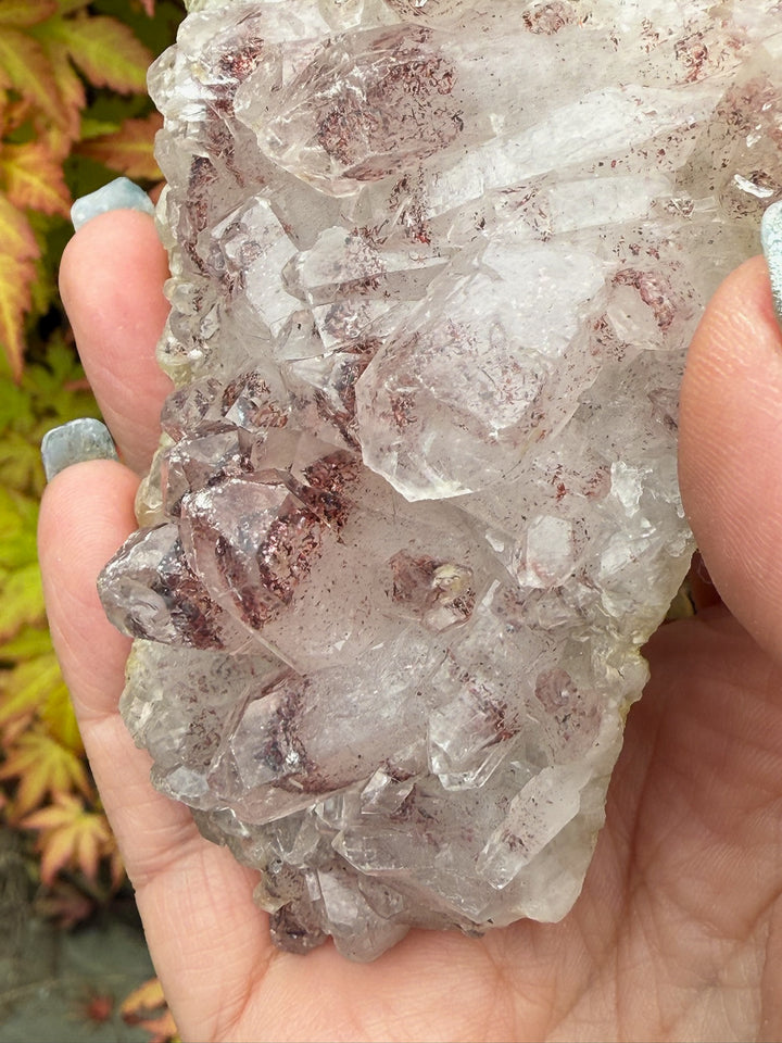 Rare Quartz with Hematite Phantoms Cluster Sunset Phantom