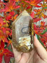Load image into Gallery viewer, Large Double Enhydro Elestial Quartz Specimen
