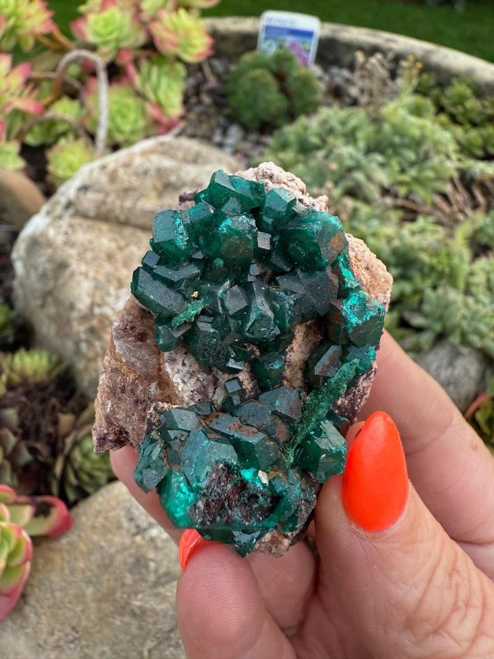 Dioptase Specimen from Congo
