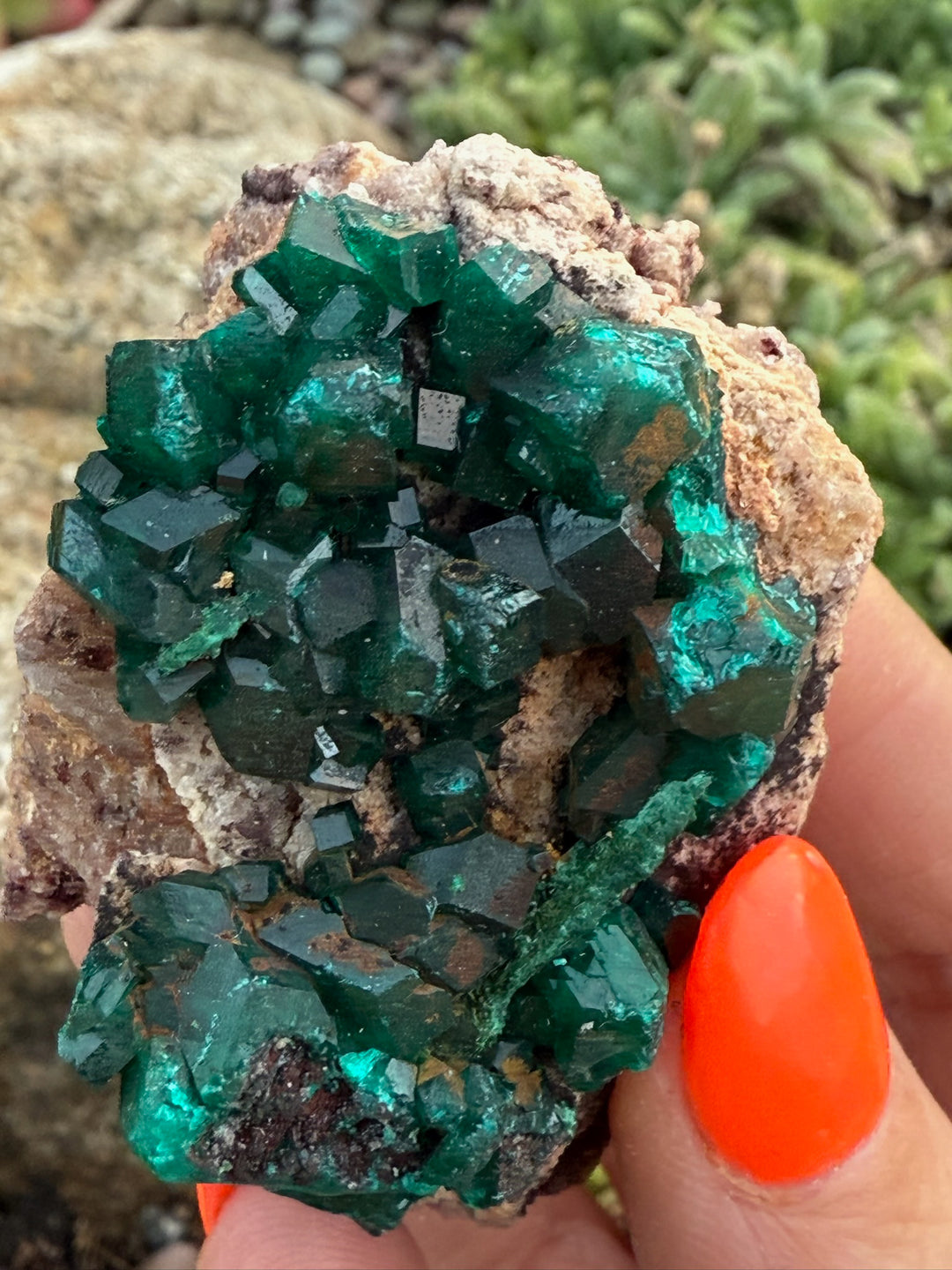 Dioptase Specimen from Congo