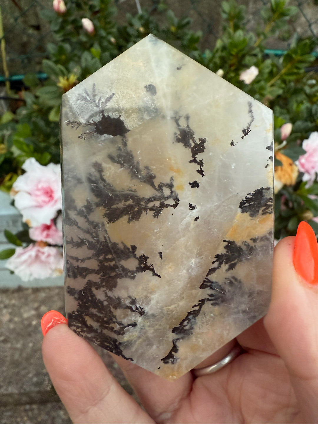 Dendritic Quartz Slice Specimen