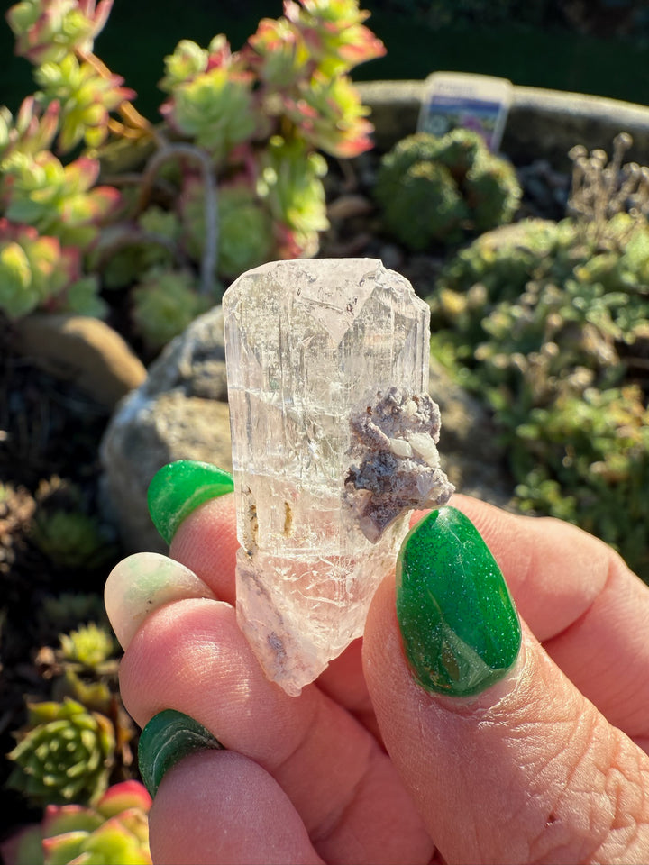 Danburite Specimen from Mexico