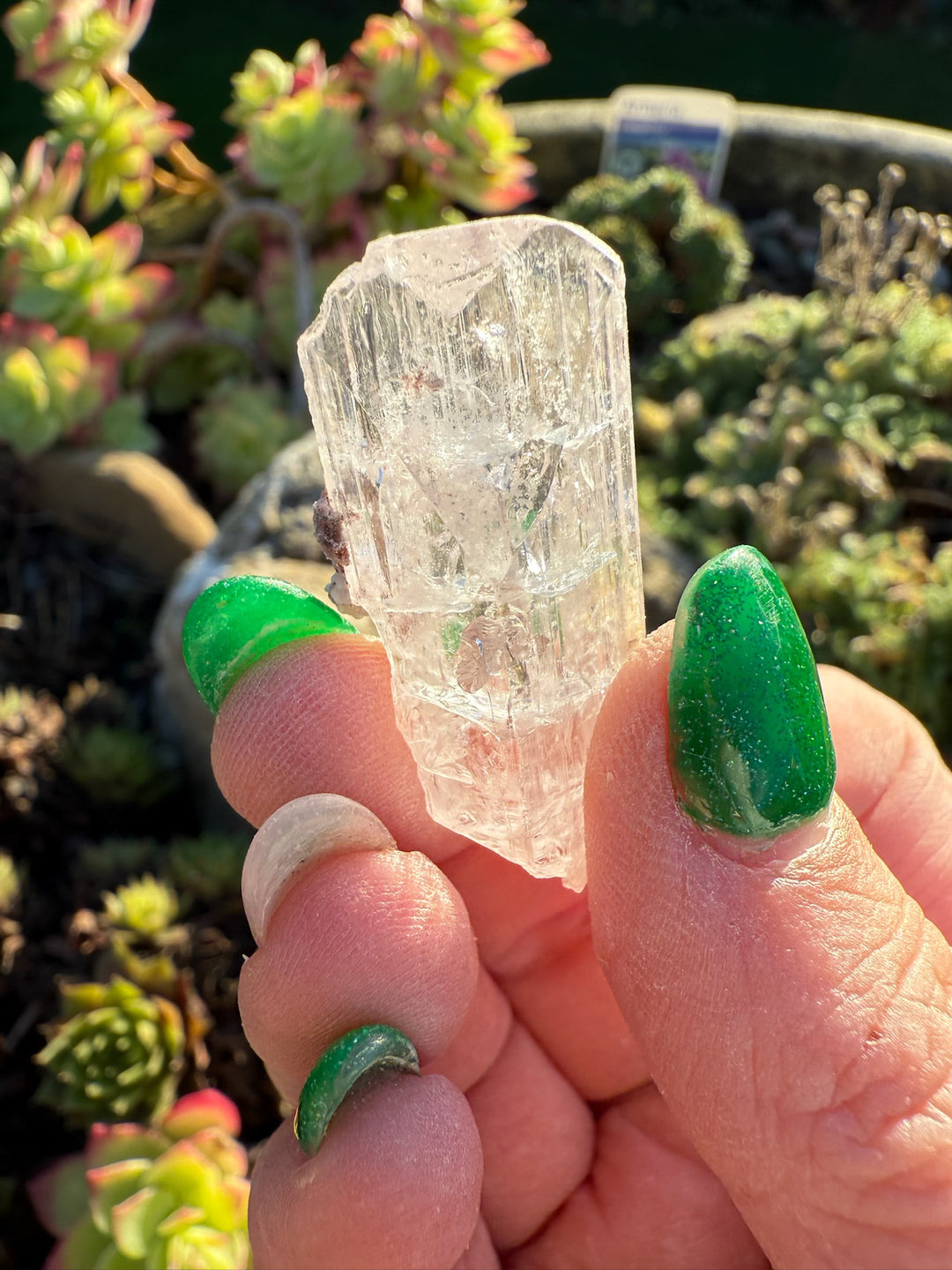 Danburite Specimen from Mexico