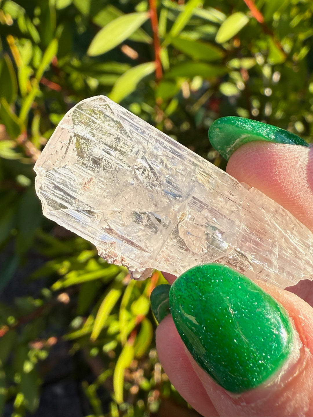 Danburite Specimen from Mexico