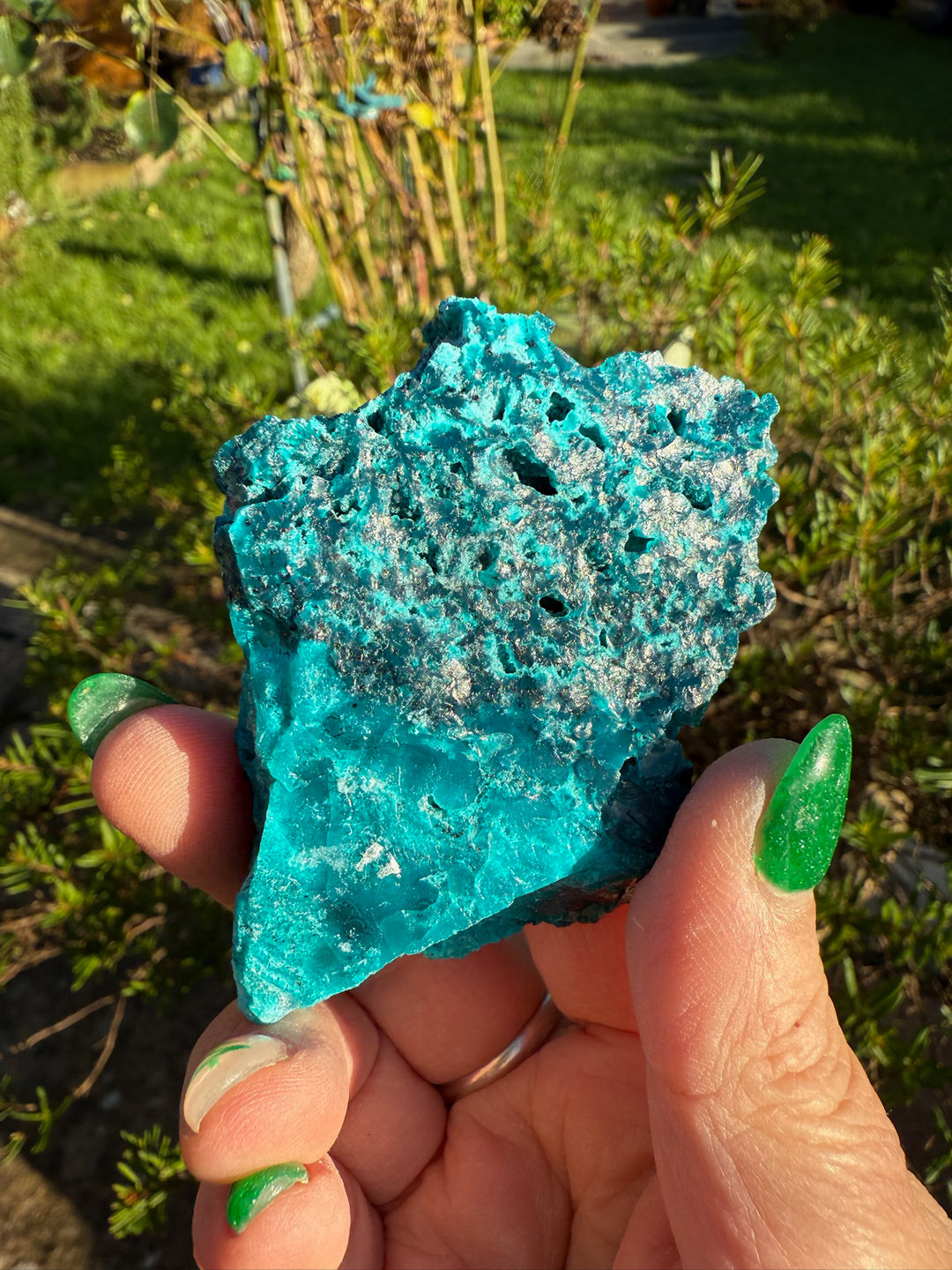 Gem Silica with Chrysocolla and Opal Specimen