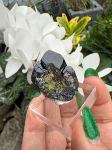 Azurite Specimen from Tsumeb Mine
