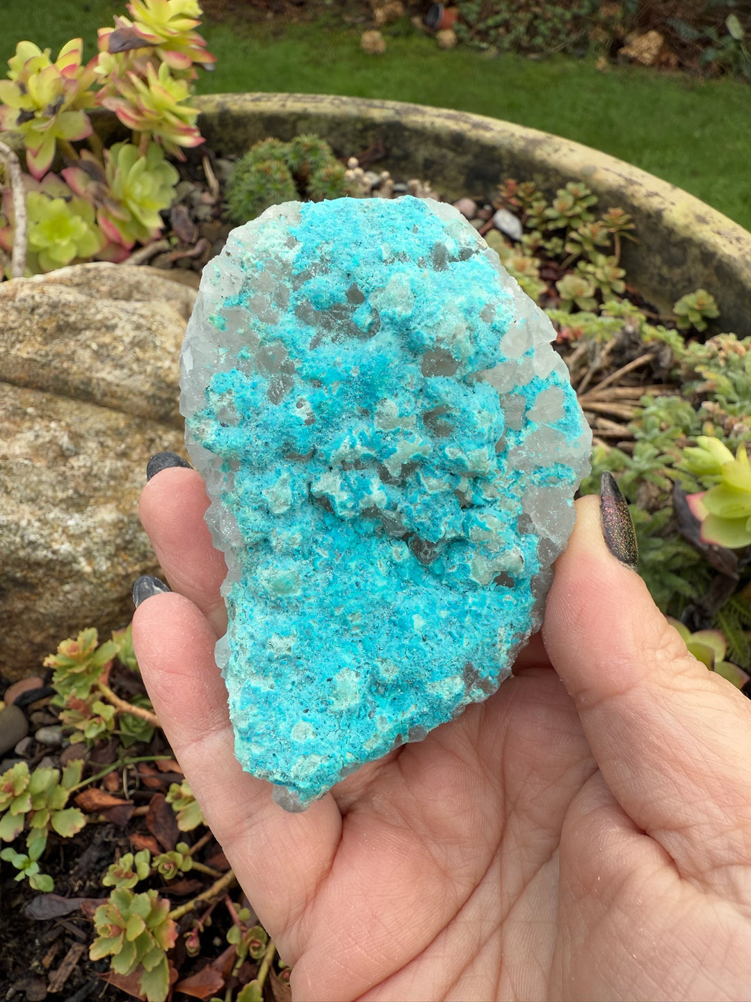 Chrysocolla on Quartz Specimen