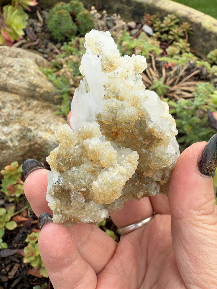 Sparkly Apophylite on Quartz Specimen