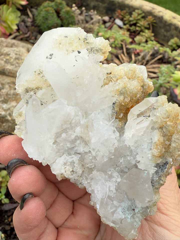 Sparkly Apophylite on Quartz Specimen