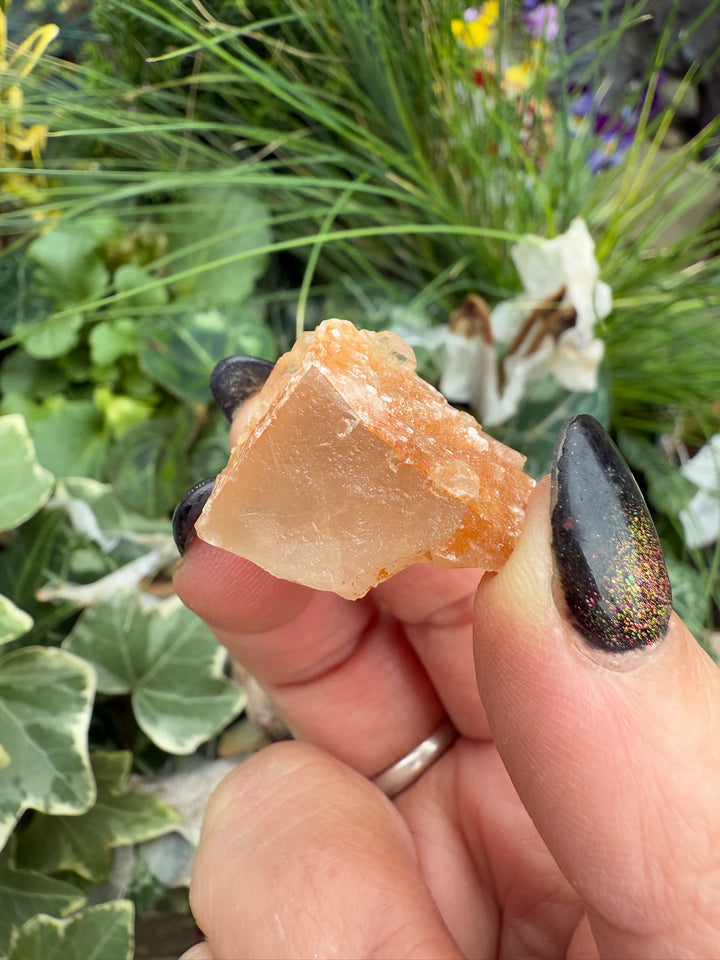 Selenite on Fluorite Specimen