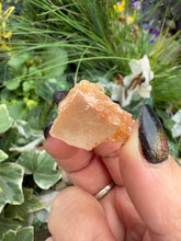 Load image into Gallery viewer, Selenite on Fluorite Specimen
