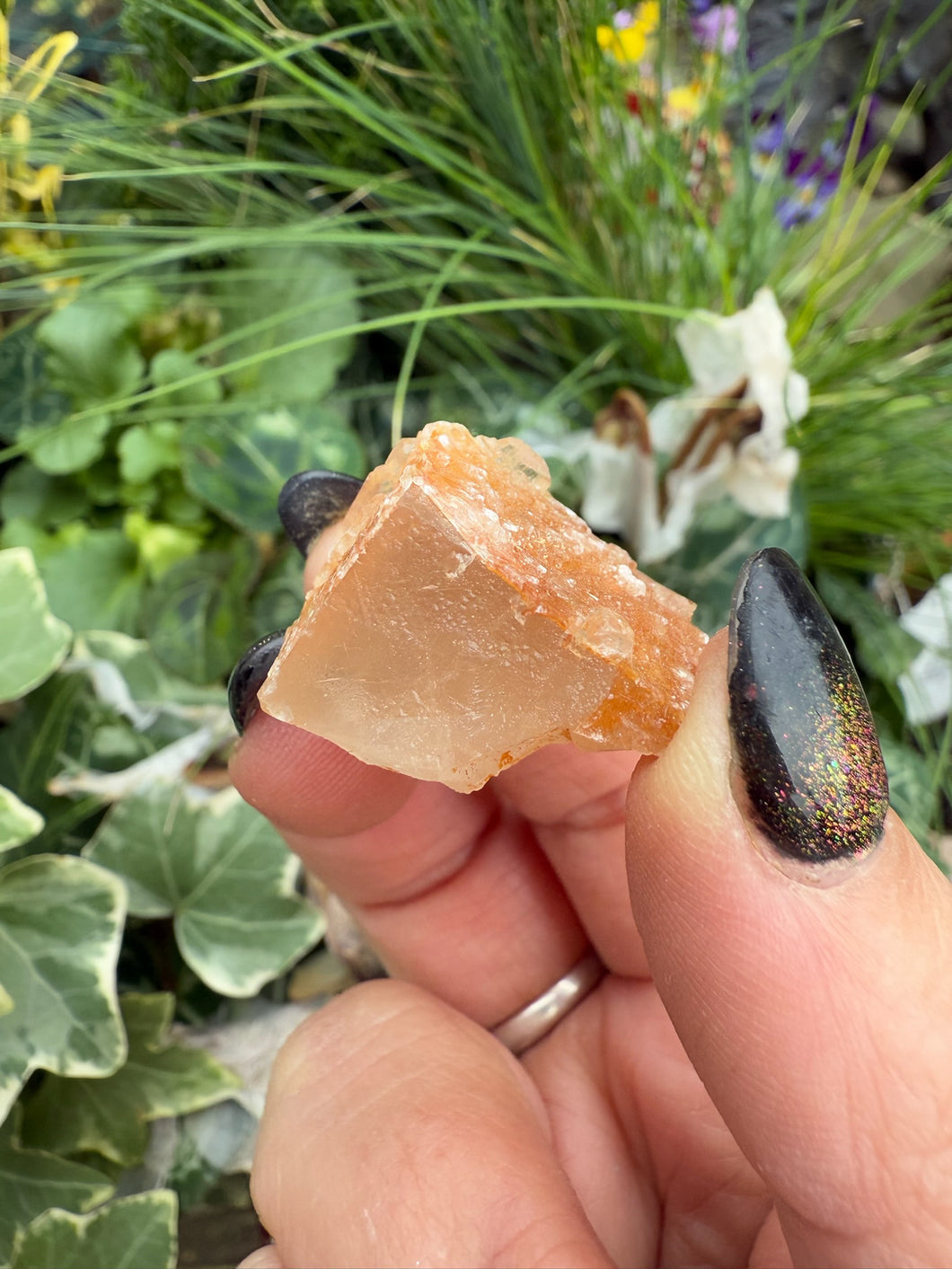 Selenite on Fluorite Specimen