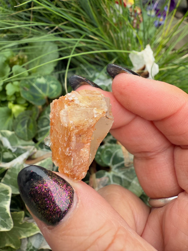Selenite on Fluorite Specimen