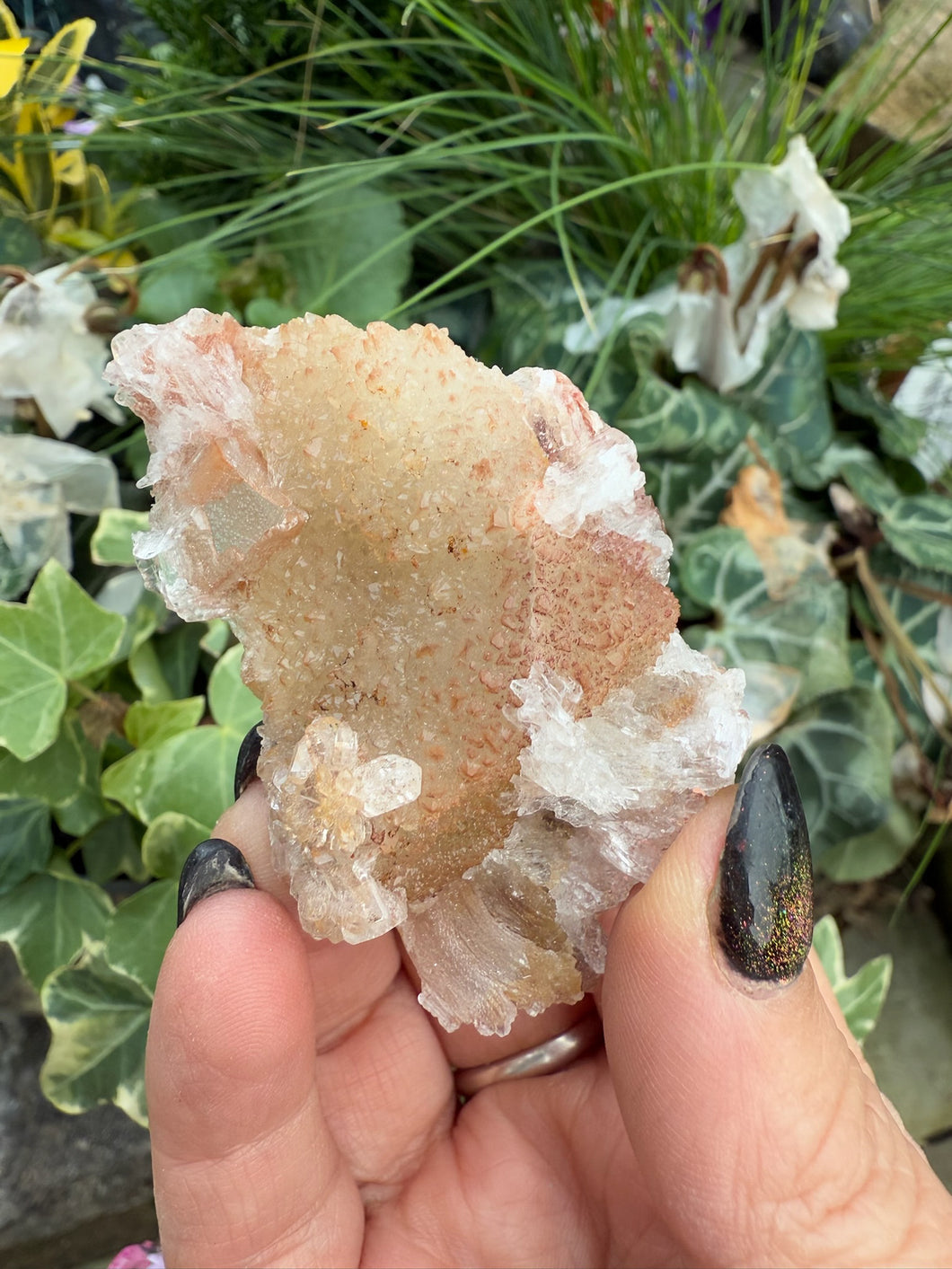 Selenite on Fluorite Specimen