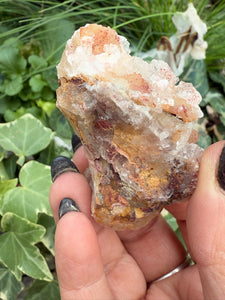 Selenite on Fluorite Specimen
