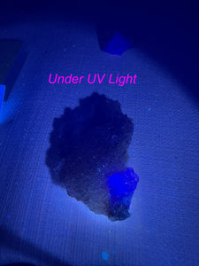 Selenite on Fluorite Specimen