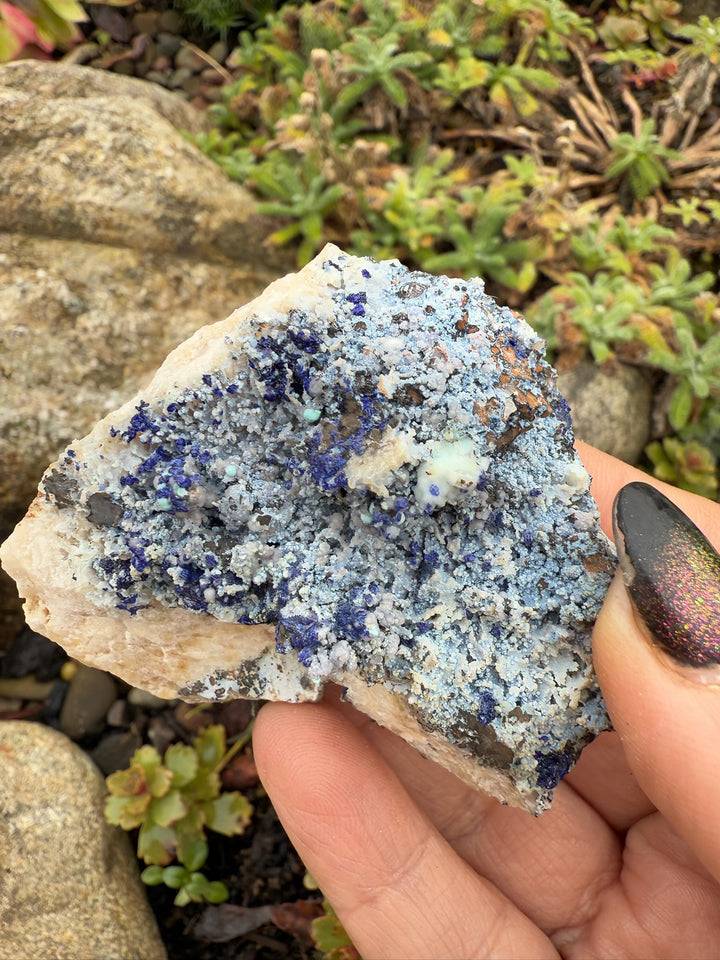 Bisbeeite with Azurite on Quartz Specimen from Mexico