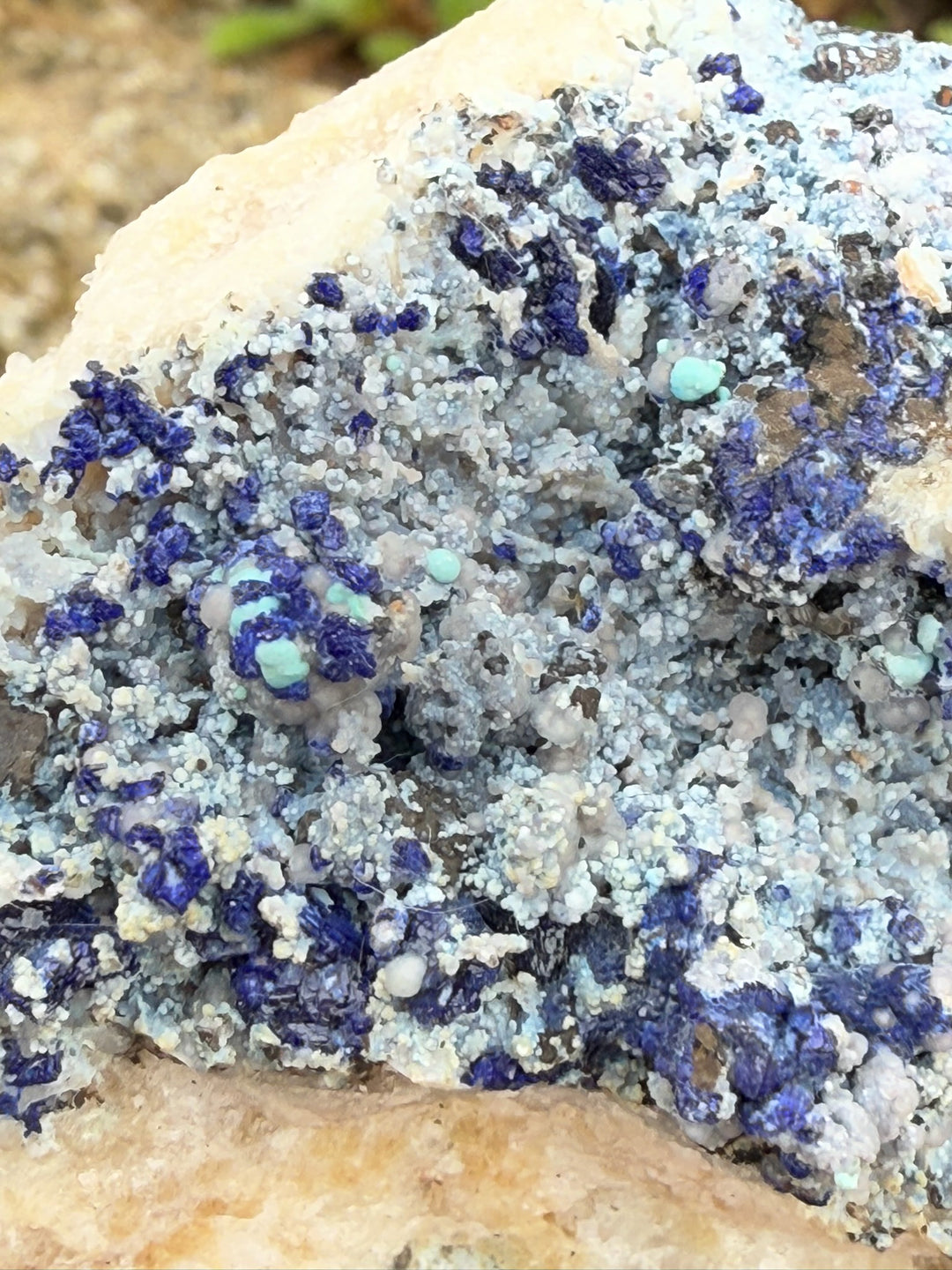 Bisbeeite with Azurite on Quartz Specimen from Mexico