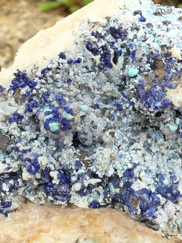 Bisbeeite with Azurite on Quartz Specimen from Mexico