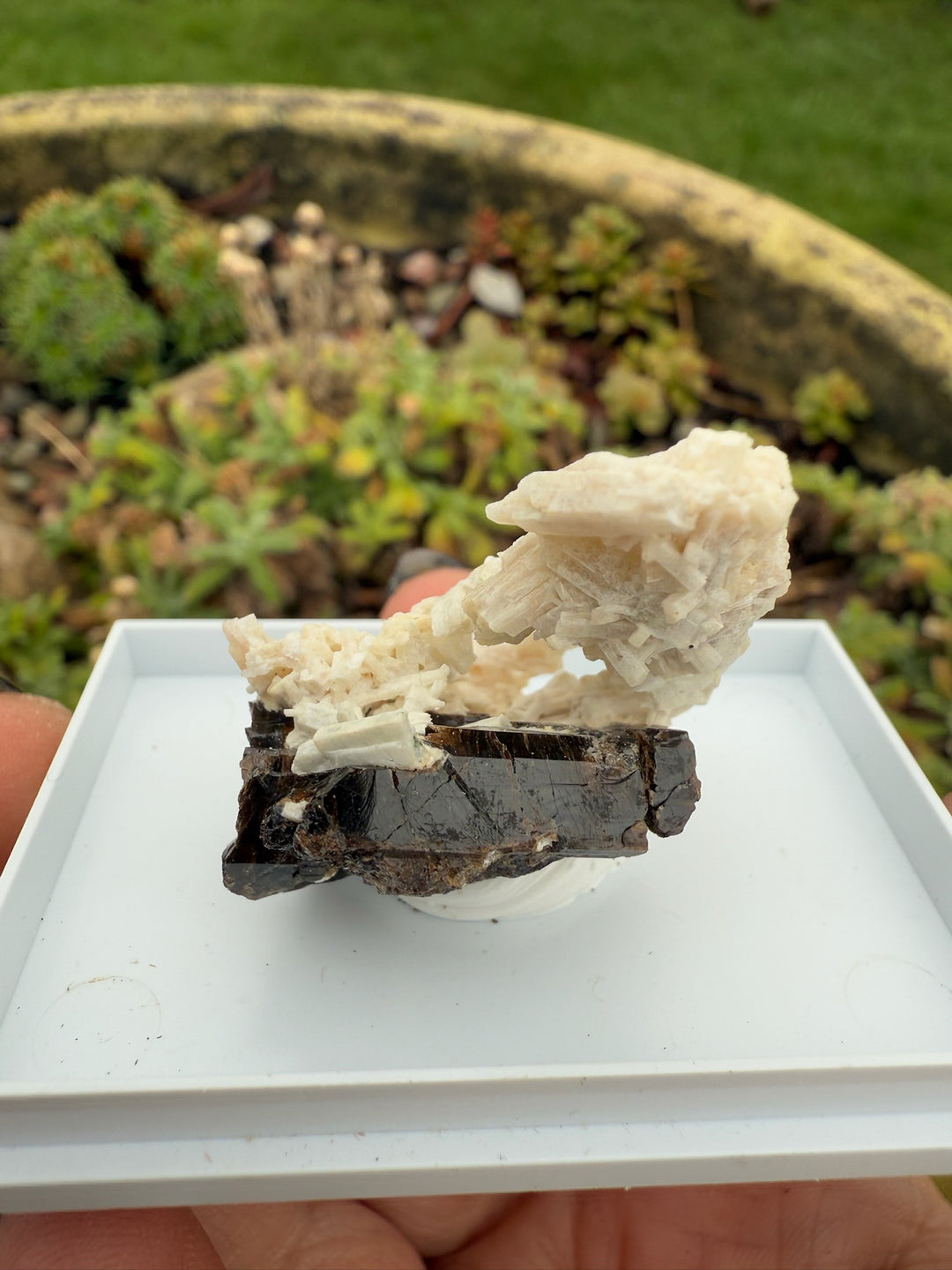 Vesuvianite Specimen from Namibia