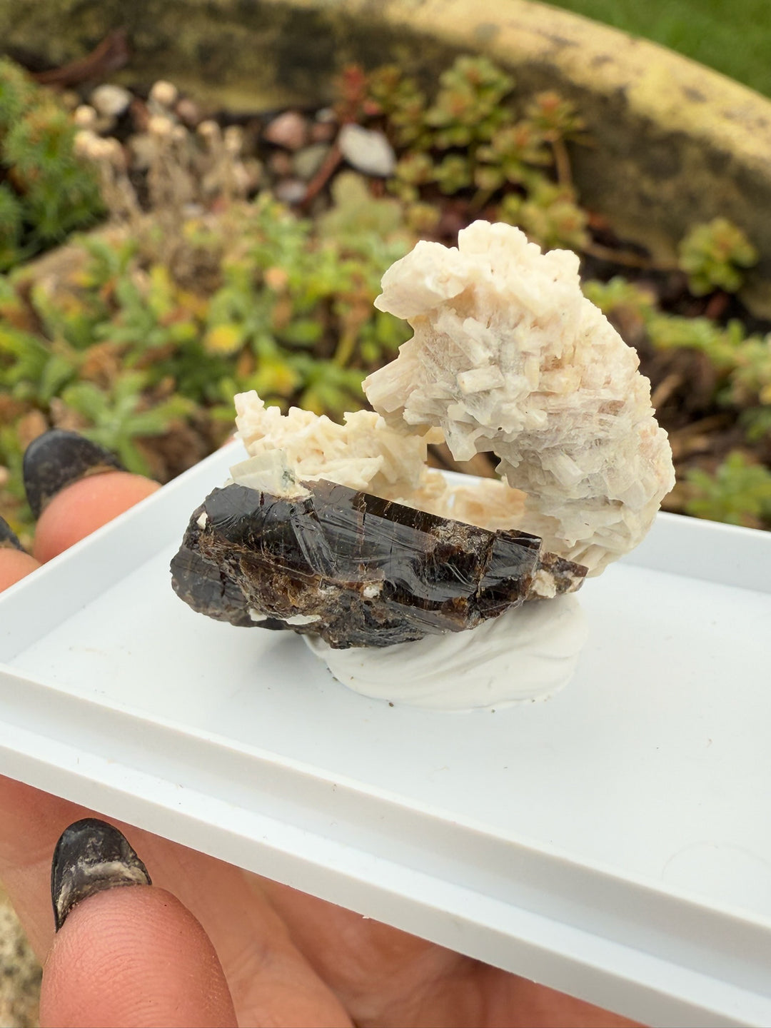 Vesuvianite Specimen from Namibia