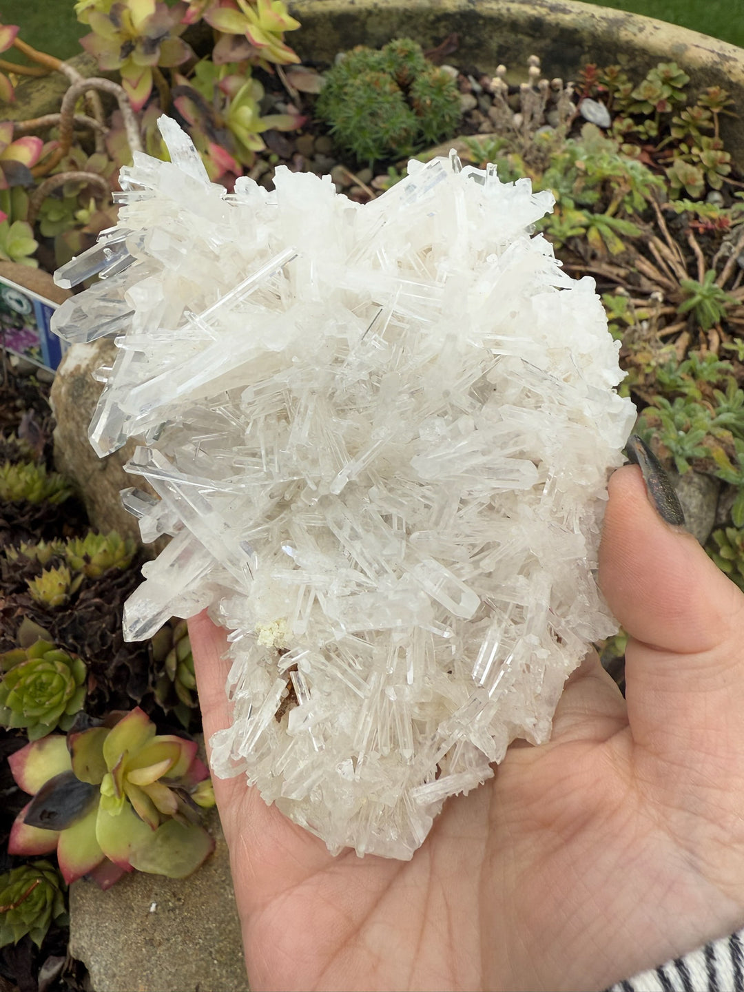 Quality Needle Quartz Specimen from Columbia