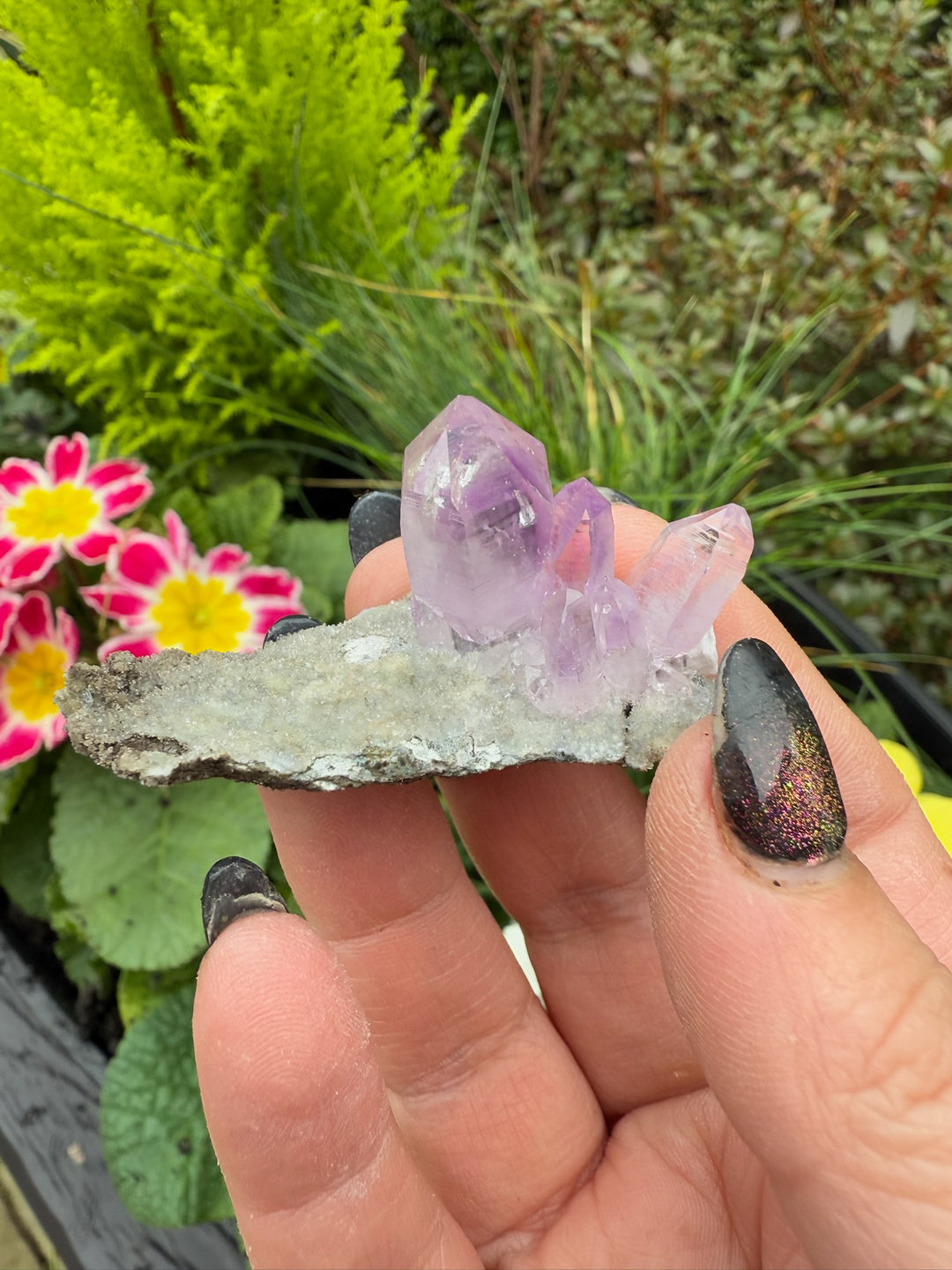 Vera Cruz Amethyst Specimen from Mexico